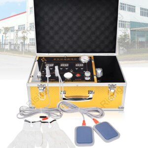 2025 Home Therapeutic Massager Chinese Meridian Pulse Frequency Massager Fohoww Functional Bio-Energy Body Massage