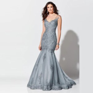Elegant Mermaid Silver Lace Applique Plunge V Neckline Mother of the Bride Dresses Sleeveless Wedding Party Gowns Backless 2022