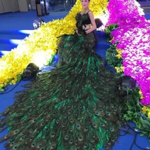 Model show catwalk Peacock feather costume long big tail performance customized make dress chinese folk costumes