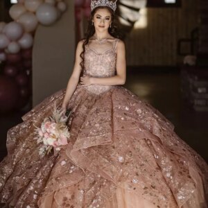 Champagne Cheap Quinceanera Dresses Ball Gown Sweetheart Long Sleeves Tulle Appliques Puffy Sweet 16 Dresses Customized