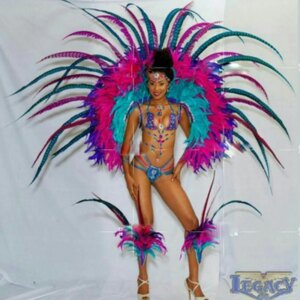 FREE Shipping Business Performance Costume Bar feather Costume Summer Bikini Party samba dance wear
