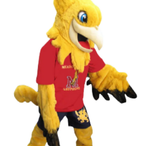 Gryphon Meadow Ridge mascot costume custom fancy costume anime cosplay kit mascotte theme fancy dress carnival costume b0491