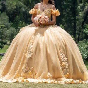 Yellow Princess Quinceanera Dresses Off Shoulder Beads Applique Lace Tull Sweet 16 Dress Ball Gown Vestidos 15 De Anos