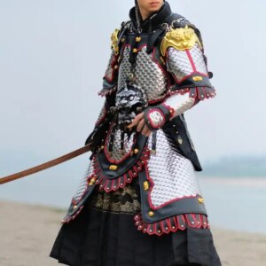 Chinese Ancient General Armor Fish Scale Tang Dynasty Stainless steel Officer Sliver Iron