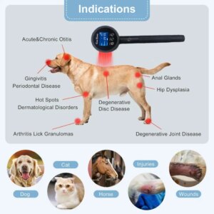 Laser Acupecture, B-Treatment, Laser Pain Therapy, Laser Therapy Device Effective in Pain Treatment