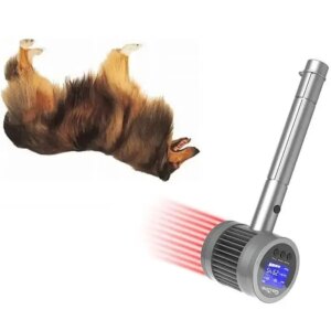Veterinary Cold Laser for Small Animals – Dual Wavelength (650nm+808nm) for Pain Relief & Tissue Regeneration