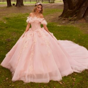 Pink Shiny Princess Quinceanera Dresses Off Shoulder Applique Flower Feather Tull Sweet 16 Dress Ball Gown Vestidos 15 De Anos