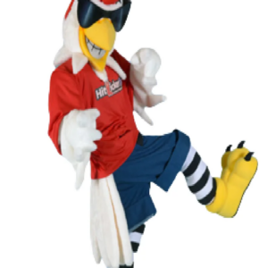 Bird Chicken Monticello mascot costume rooster custom fancy costume anime cosplay kit mascotte theme fancy dress carnival 0446