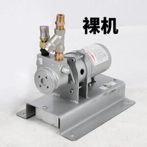 12V liquefied gas air infusion 12 volt propane vehicle small liquefied pump