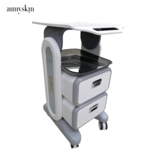 Beauty Tool Cart Manufacturer Beauty Salon  Trolley Home Use Medical Machine Cart With Four Universal Wheels