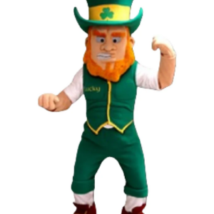 lucky man mascot costume custom fancy costume anime cosplay kit mascotte theme fancy dress carnival costume b0350