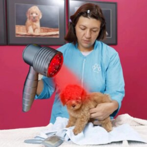 New Arrival Portable Cold Light Laser Pain Therapy Device For Pets