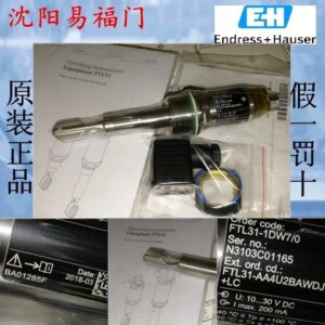 2025.4Endhouse FTL31-1DW7/0, FTL31-AA4U2BAWDJ Brand New Original Genuine, In Stock