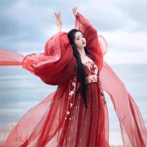 Heavy embroidery big sleeve shirt chebule skirt Hanfu women long style