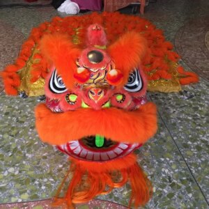 Lion Dance Chinese Traditional Folk Show Performance Bamboo Head Australian Wool Lion Dance