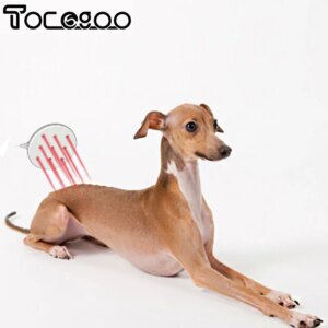 Cold Laser Therapy Device for Human and Pets 650nm Red Light Therapy Devices for Pain Relief Home Light Therapy for Arthritis