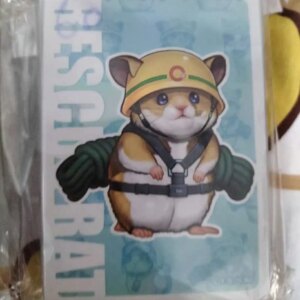 60Pcs Yugioh KONAMI Duel Monsters Rescue Hamster Cute Official Collection Card Protector Sleeves