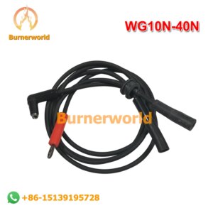 Weishaupt Ion Line WG10N ionic rays  WM-G10N Burner Line WM-G20N WG30N/1-C  WG40N/1-C