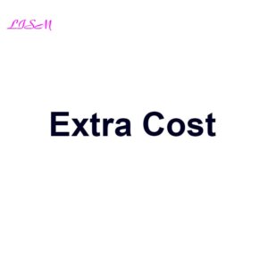 Extra Cost 1