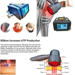 Powerful 1295mW 808nm Laser Unit Near Infrared Light Therapy For Acute And Chronic Pain Relief