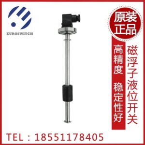 2025.4Italy Euroswitch Imported Float Liquid Level Switch IMM500/IMM860 Liquid Level Controller.