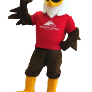 mountain america eagle mascot costume hawk falcon custom fancy costume anime0014