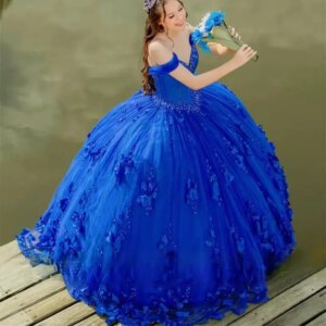 Customized Exquisite Royal Blue Princess Quinceanera Dresses 3D Flower Appliques Crystals Pearls Beading Vestidos De Festa