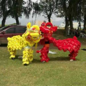 Lion Dance Props Pairs Lion Head Dance Lion Stage Performance Costumes