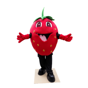 cupcake icecream mascot costume custom fancy costume anime cosplay kits mascotte fancy dress carnival costume1307