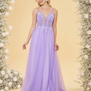 Long A-Line Evening Dress Deep V Neck Tulle Prom Dresses for Women Spaghetti Straps Long Lace Appliques Ball Gowns