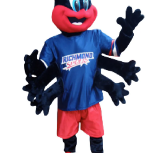 Insect Spider U of Richmond mascot costume custom fancy costume anime cosplay kit mascotte theme fancy dress carnival 0506