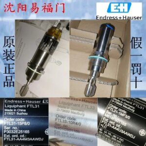 2025.4E+H Enderhaus FTL33-AA4M3ABWSJ, FTL33-10R4/0 In Stock, Physical Photos