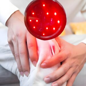 Multifunctional Cold Laser Therapy Machine Acupuncture Machine Cervical Spondylosis Pain Management Machine