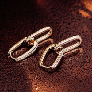 Provence Double Link Oval Hoop Earring 10K Gold DEF/VS Lab Diamonds Luxury Huggie Earrings for Women Men Personalized Custom