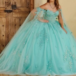 Customized Aqua Women Prom Dance Queen Sleeve Wrap V Neck Lace Applqiue Ball Gown Birthday Party Sweet 15 16 Quinceanera Dress