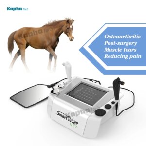 Smart Tecar Vet Diathermy RF Therapy For Animal Horse Use Deep Tissue Treatment Machine