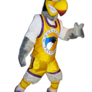 Bird Falcon Monbtavallo mascot costume custom fancy costume anime cosplay kit mascotte theme fancy dress carnival costume b0458