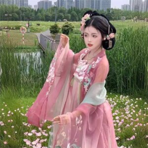 Hanfu female Chebula skirt big sleeve shirt embroidery super fairy