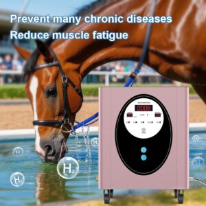Suyzeko Hydrogen Water help racehorses reduces fatigue faster metabolic recovery always in top – notch condition