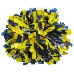 30pcs 2022 New Plastic Cheerleading Pom Poms for Cheerleaders Factory Price