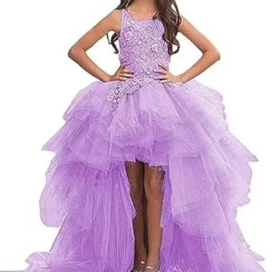 Princess Dress High Low Flower Girl Dresses for Wedding Tulle Princess Pageant Dress Lace Appliques Ball Gown Dress