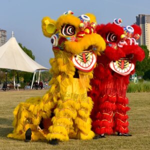 Lion Dance Props Awakening Wool Foshan Standard No. 3 Adult Double Awakening Lion