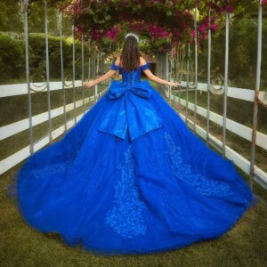 Blue Shiny Tulle Quinceanera Dress Applique Lace Beading Floral Off the Shoulder Ball Gown Sweet 16Party Princess Dress vestidos