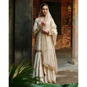 Salwar Kameez Palistani Indian Wedding Party Dress Polaroid Suit Salad