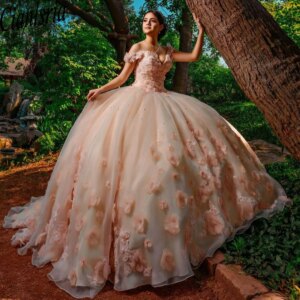 Pink Ball Gown Princess Girl Sweet 15 Quinceanera Dresses Long Sexy V Neck Handmade Flowers Appliqued Prom Party