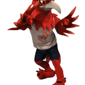 Bird Pheonix mascot costume custom fancy costume anime cosplay kit mascotte theme fancy dress carnival costume b0469