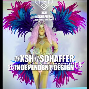 Ds performance of women’s colorful feather cheerleading atmosphere tour