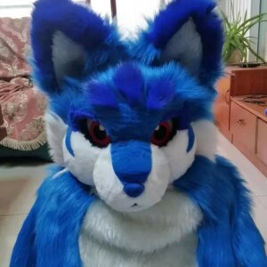 Husky Mascot Costume Dog Fox Fursuit Animals Cosplay Halloween Fursuit