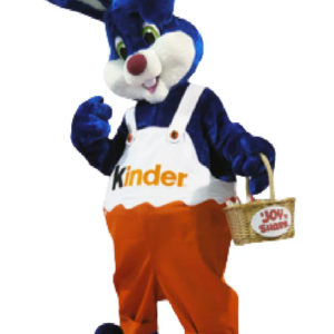 Rabbit Bunny Kinder mascot costume custom fancy costume anime cosplay kit mascotte theme fancy dress carnival costume b0516