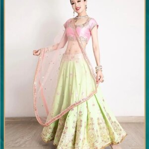 Original Embroidered Sari Indian Women’s Dance Dress Lenha Set